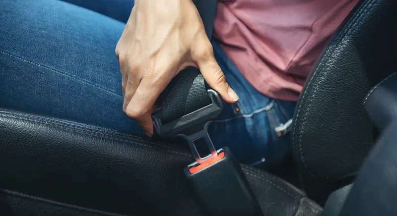 Adult lap sash seatbelt